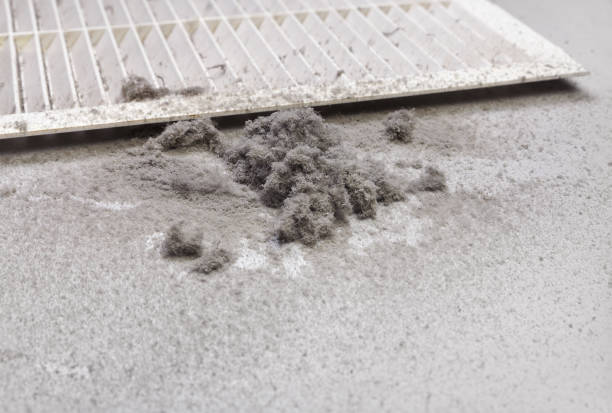 Best Affordable Duct Cleaning Services  in Laureldale, PA